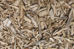 biomass boilers Altamullan